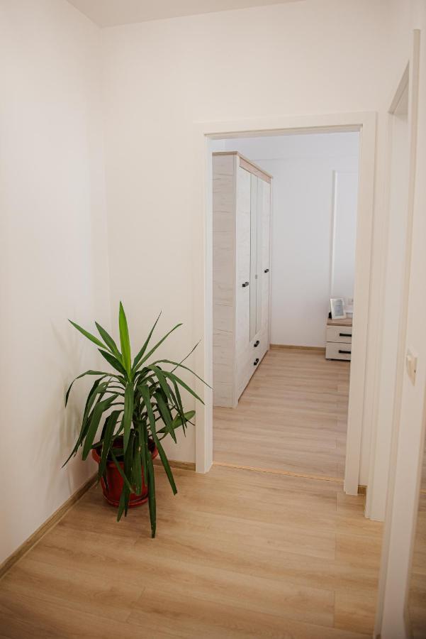 Modern Apartment In Timisoara Exterior foto